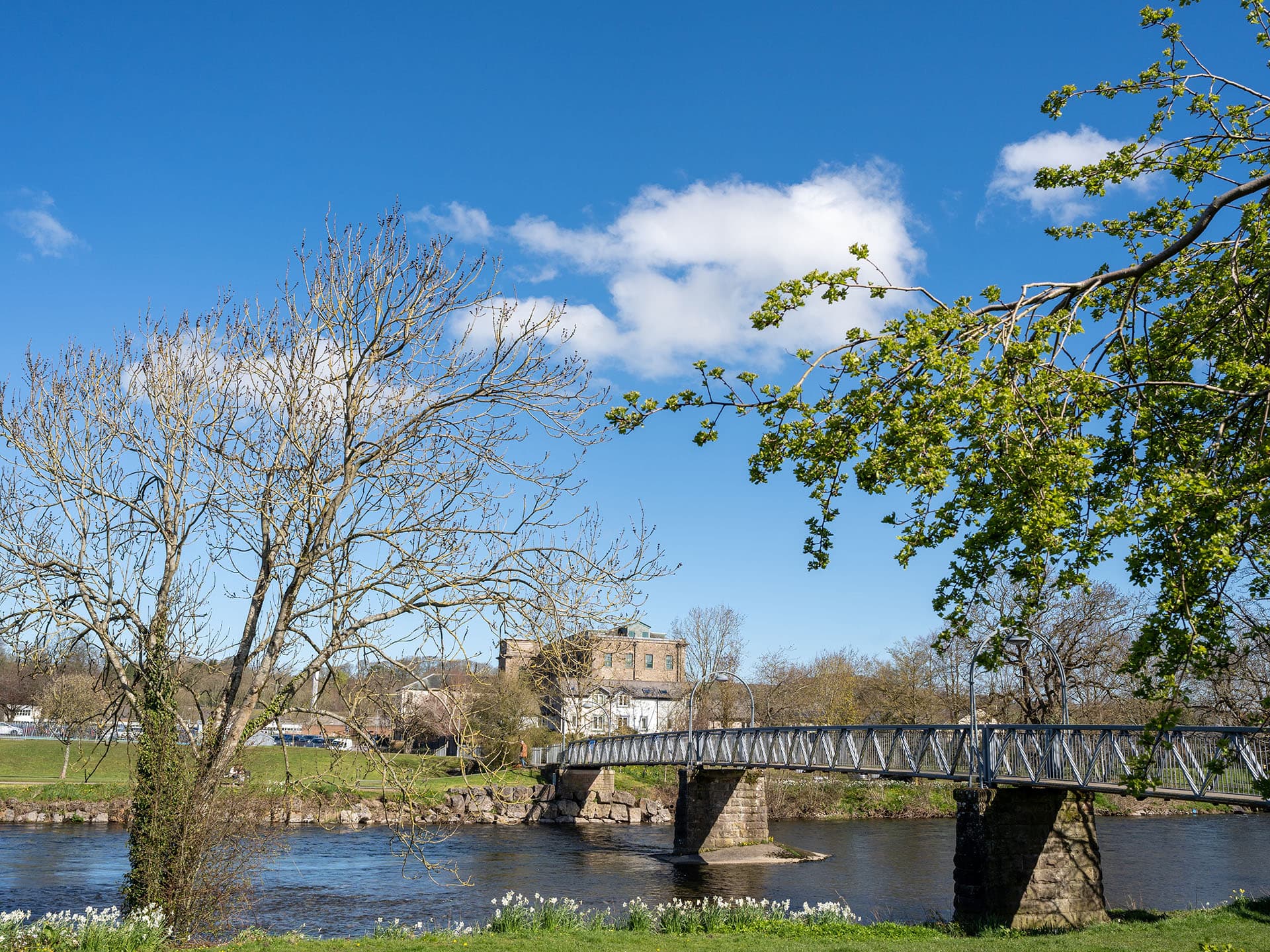 A Great Place to Call Home